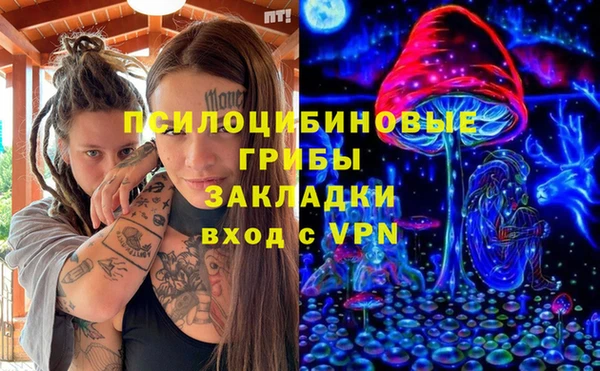 PSILOCYBIN Армянск