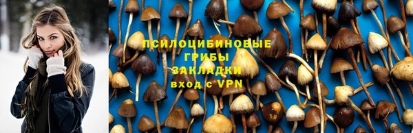 PSILOCYBIN Армянск