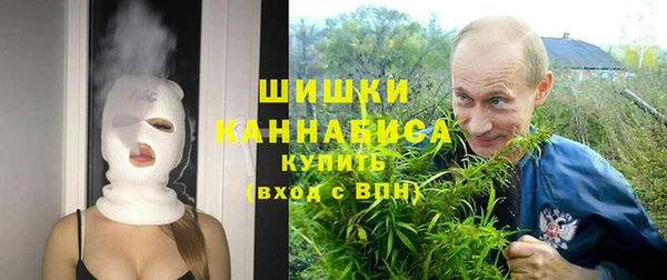 PSILOCYBIN Армянск