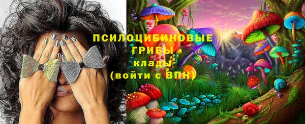 PSILOCYBIN Армянск
