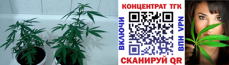 ТГК жижа  OMG ссылка  Суворов 